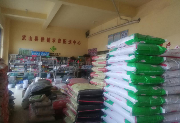 化肥批发行业的市场动态与发展趋势